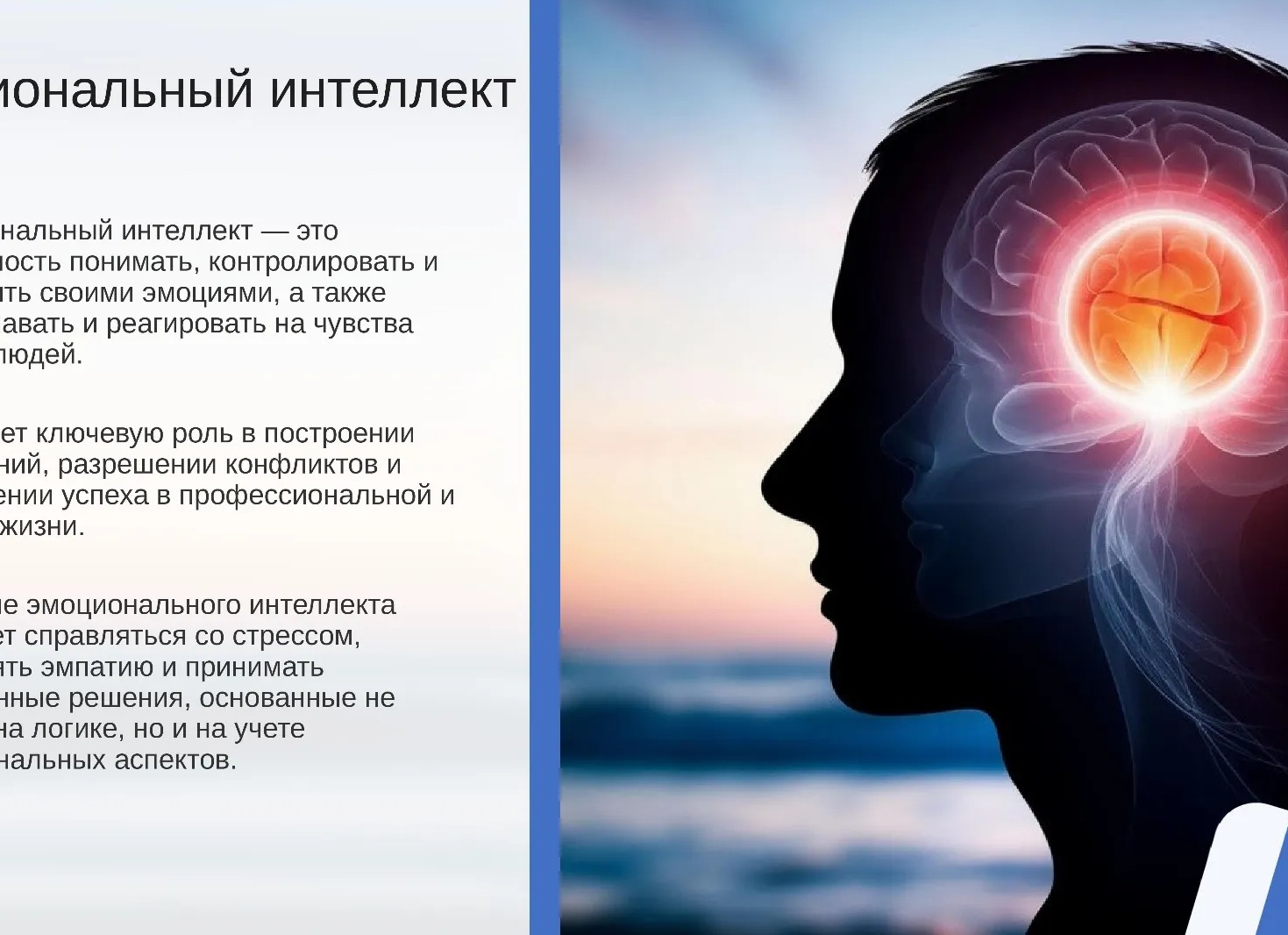 Психология любви: как понимать и развивать отношения?